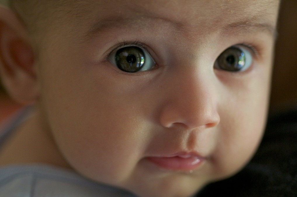 Baby portraits by David Greedy Photography: Vivian 2012.